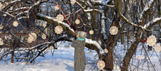nespoon | tree | 3-d | snow | warsaw | poland | winter10 (61 votes)