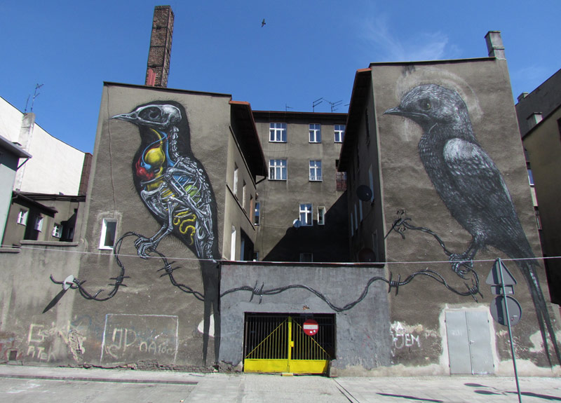 roa | bird | katowice | poland