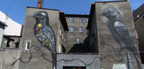 roa | bird | katowice | poland (12 votes)