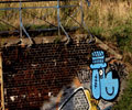 felto | oik | dog | blue | poland (24 votes)