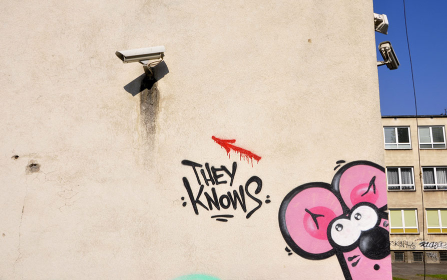 franek | mysza | cctv | krakow | poland
