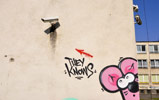 franek | mysza | cctv | krakow | poland (22 votes)
