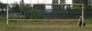 kwiatek | pink | football | poland (46 votes)