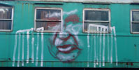 masz | train | green | portrait | poland (30 votes)