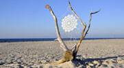 nespoon | beach | tree | poland (49 votes)