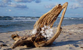 nespoon | beach | poland | fall10 (70 votes)