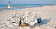 nespoon | beach | tree | poland (24 votes)