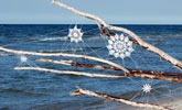 nespoon | beach | poland (30 votes)