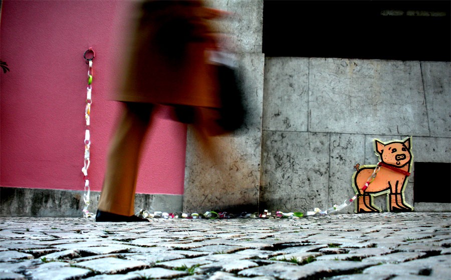 mouse | pig | lisboa | portugal
