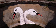 0331c | water | bird | russia (23 votes)