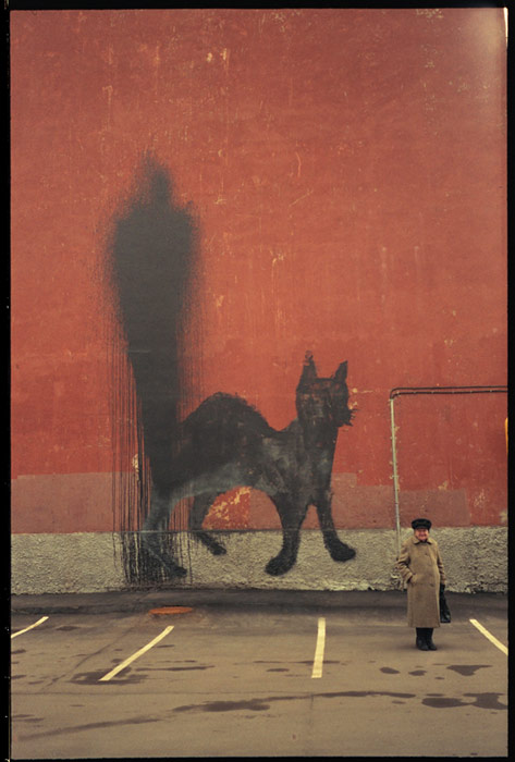 0331c | cat | fire-extinguisher | black | moscow | russia