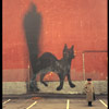 0331c | cat | fire-extinguisher | black | moscow | russia (42 votes)