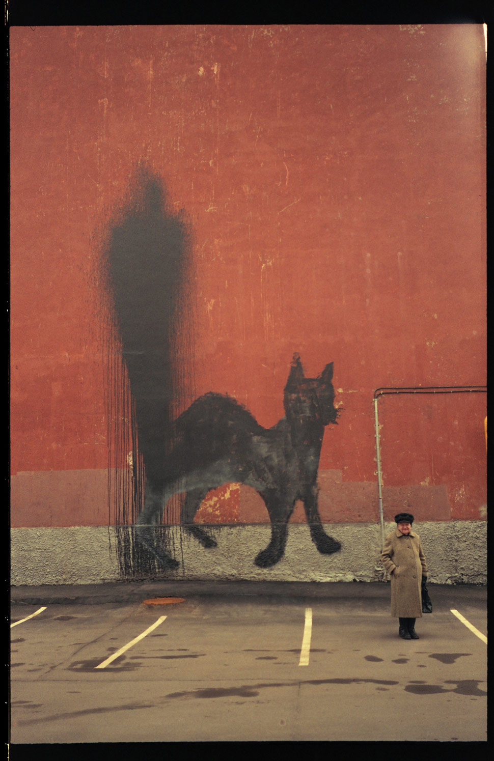 0331c | cat | fire-extinguisher | black | moscow | russia