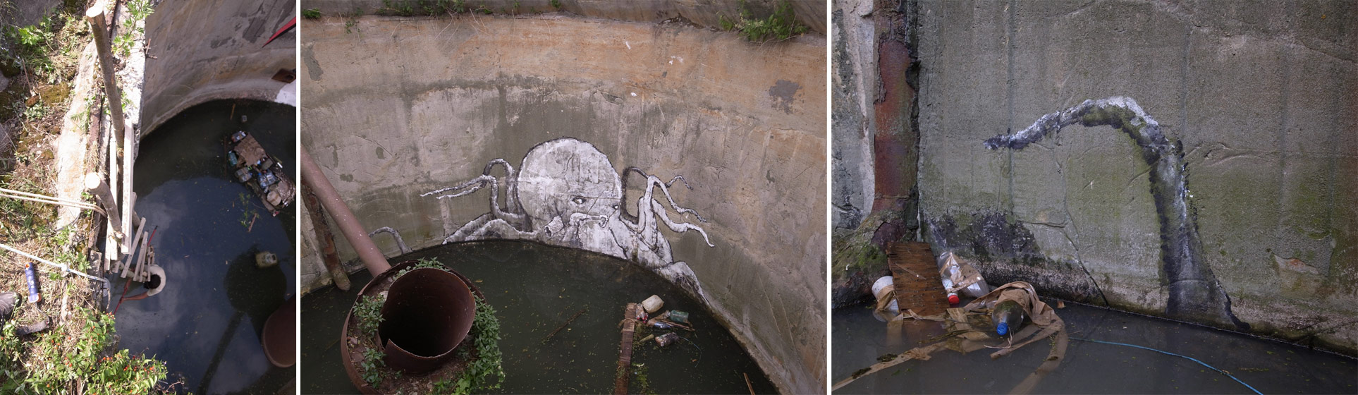 elum | octopus | russia