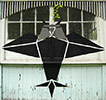 gred | owl | moscow | russia (7 votes)
