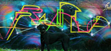 lovis | phalo-crew | dog | russia (25 votes)