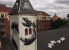 roa | scandinavia | denmark (15 votes)