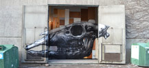 roa | stockholm | scandinavia (7 votes)
