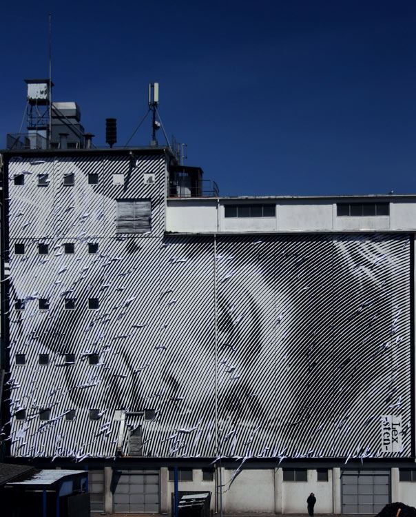 sten | lex | big | portrait | denmark | scandinavia