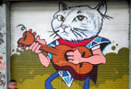 chirrete | cat | shutters | colombia | south-america (11 votes)