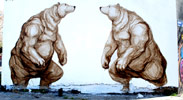 jaz | bear | buenosaires | argentina | south-america (24 votes)
