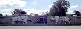 jaz | buenosaires | argentina | south-america (6 votes)