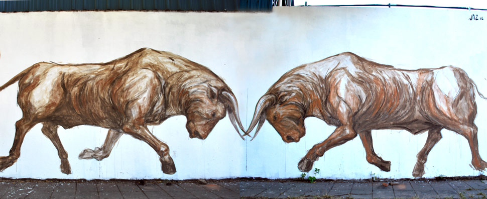 jaz | toro | buenosaires | argentina | south-america