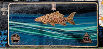 triangulo-dorado | fish | buenosaires | argentina | south-america (53 votes)