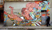 bastardilla | don-xid | stinkfish | bogota | colombia | south-america (27 votes)