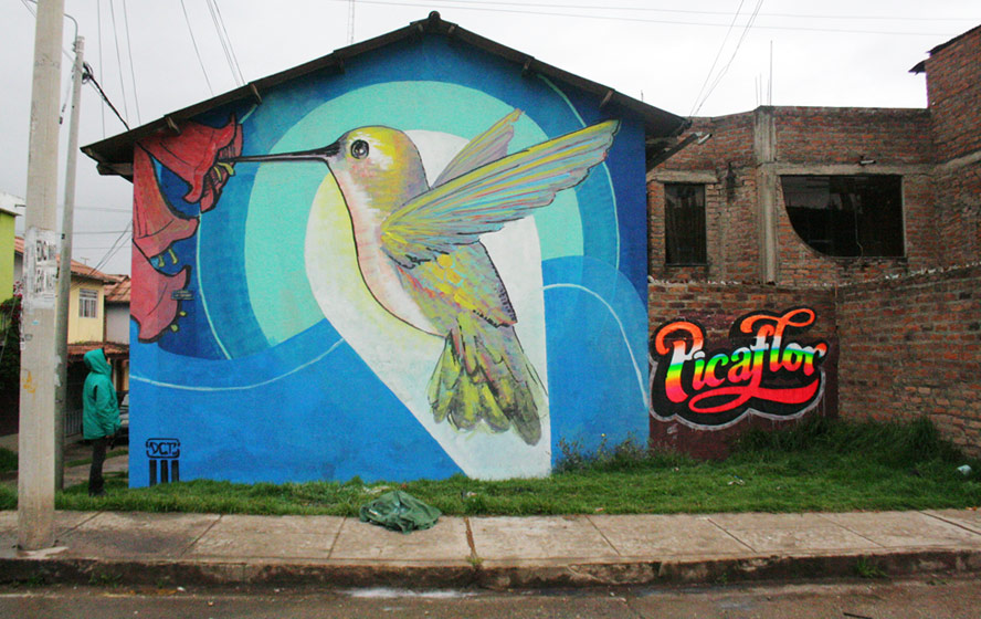 decertor | elliot-tupac | bird | peru | south-america