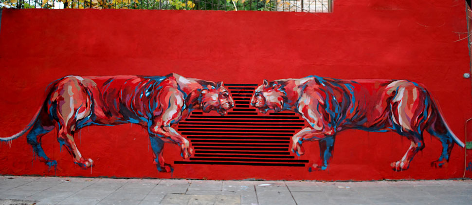 jaz | red | buenosaires | argentina | south-america
