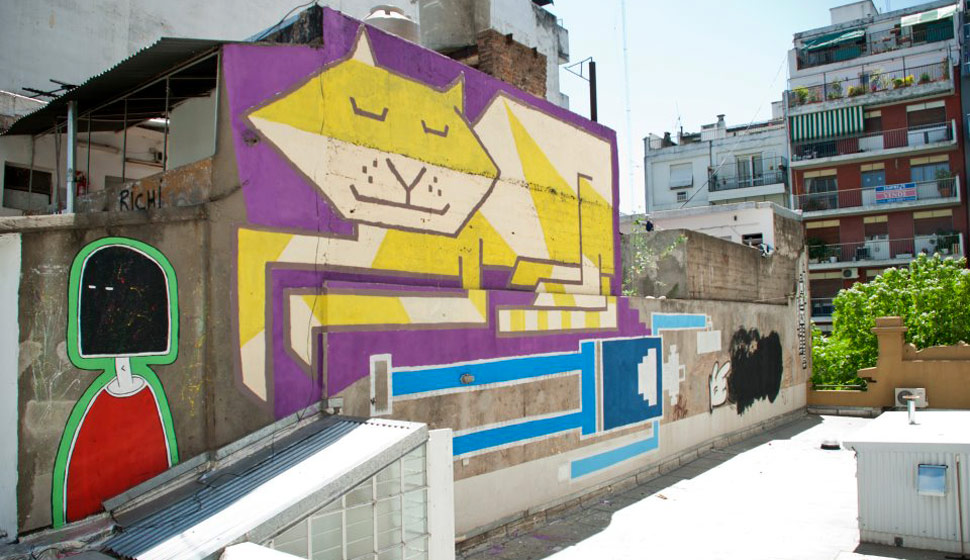 maxi-murad | cat | argentina | south-america
