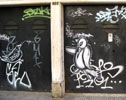 other | labrona | bird | buenosaires | argentina | south-america (17 votes)