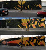 poeta | buenosaires | argentina | south-america (6 votes)