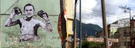 stinkfish | aeon | bogota | sport | colombia | south-america (12 votes)