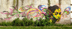 stinkfish | antigua | guatemala | south-america (16 votes)