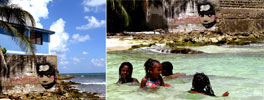 stinkfish | beach | san-andres | colombia | south-america (24 votes)