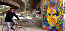 stinkfish | bogota | colombia | south-america (15 votes)