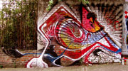 stinkfish | cali | colombia | south-america (8 votes)