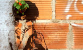 stinkfish | kids | bogota | colombia | south-america (18 votes)