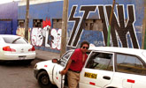 stinkfish | lima | peru | south-america (15 votes)