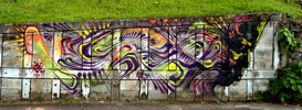 stinkfish | medellin | colombia | south-america (11 votes)