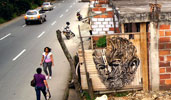 stinkfish | medellin | colombia | south-america (12 votes)