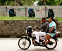 stinkfish | san-andres | colombia | south-america (12 votes)