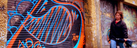 stinkfish | shutters | bogota | colombia | south-america (16 votes)