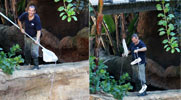 dotdotdot | monkey | malaga | spain (27 votes)