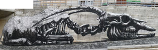 roa | santander | spain (22 votes)