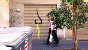 limon | valencia | spain (13 votes)