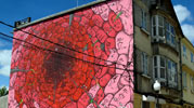 liqen | red | spain (51 votes)