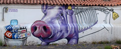 sabotajealmontaje | pig | tenerife | canarias | spain (41 votes)